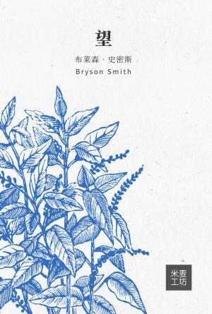 望：完美将至(简)