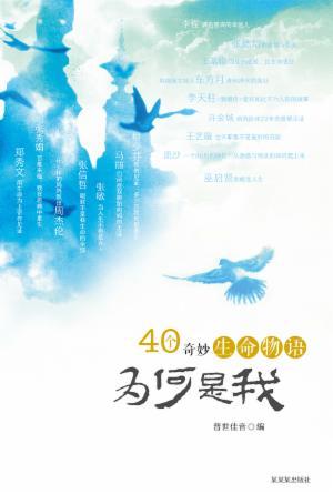 为何是我：40 个奇妙生命物语(简)