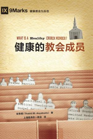 [免费] 健康的教会成员(简)