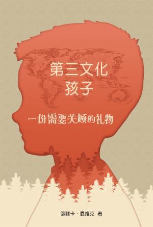 第三文化孩子：一份需要关顾的礼物(简)