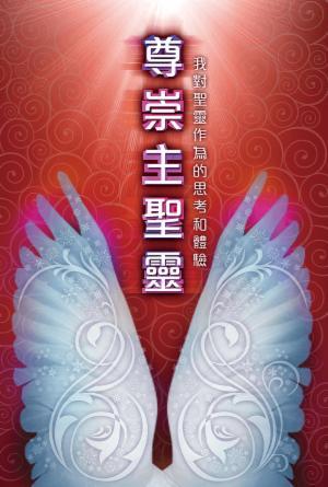 尊崇主聖靈：我對聖靈作為的思考和體驗(繁)