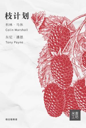 枝计划(简)