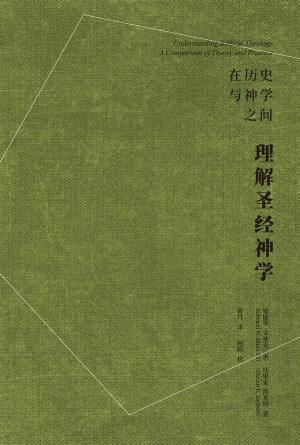 理解圣经神学：在历史与神学之间(简)
